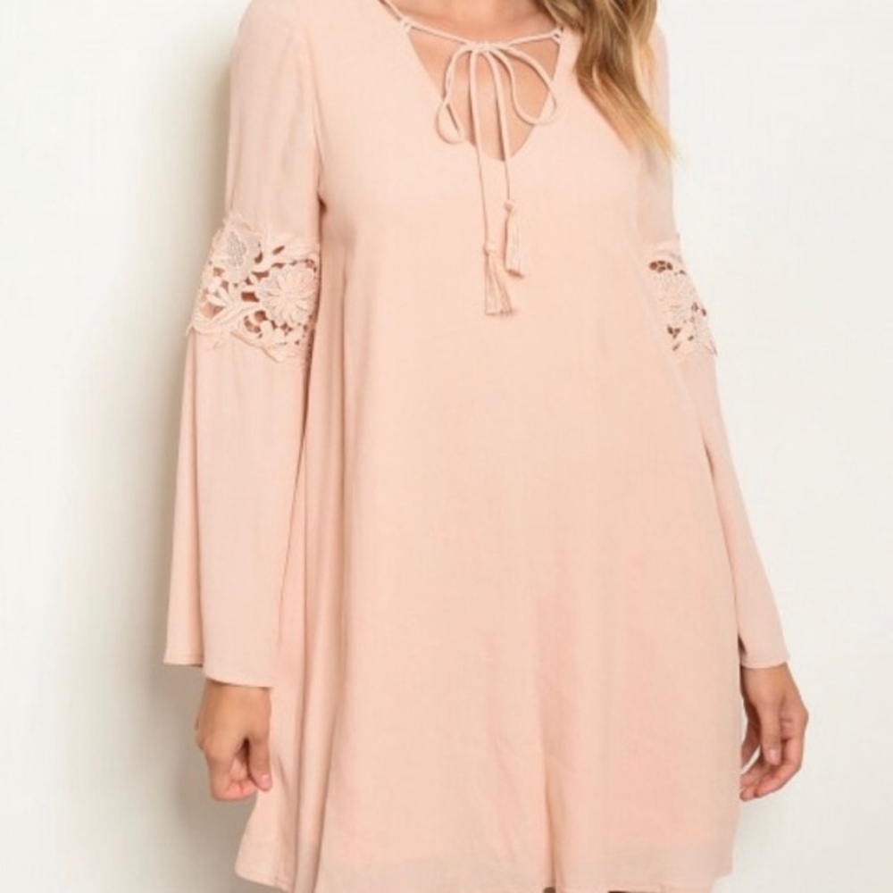 Amelia Blush Babydoll Dress